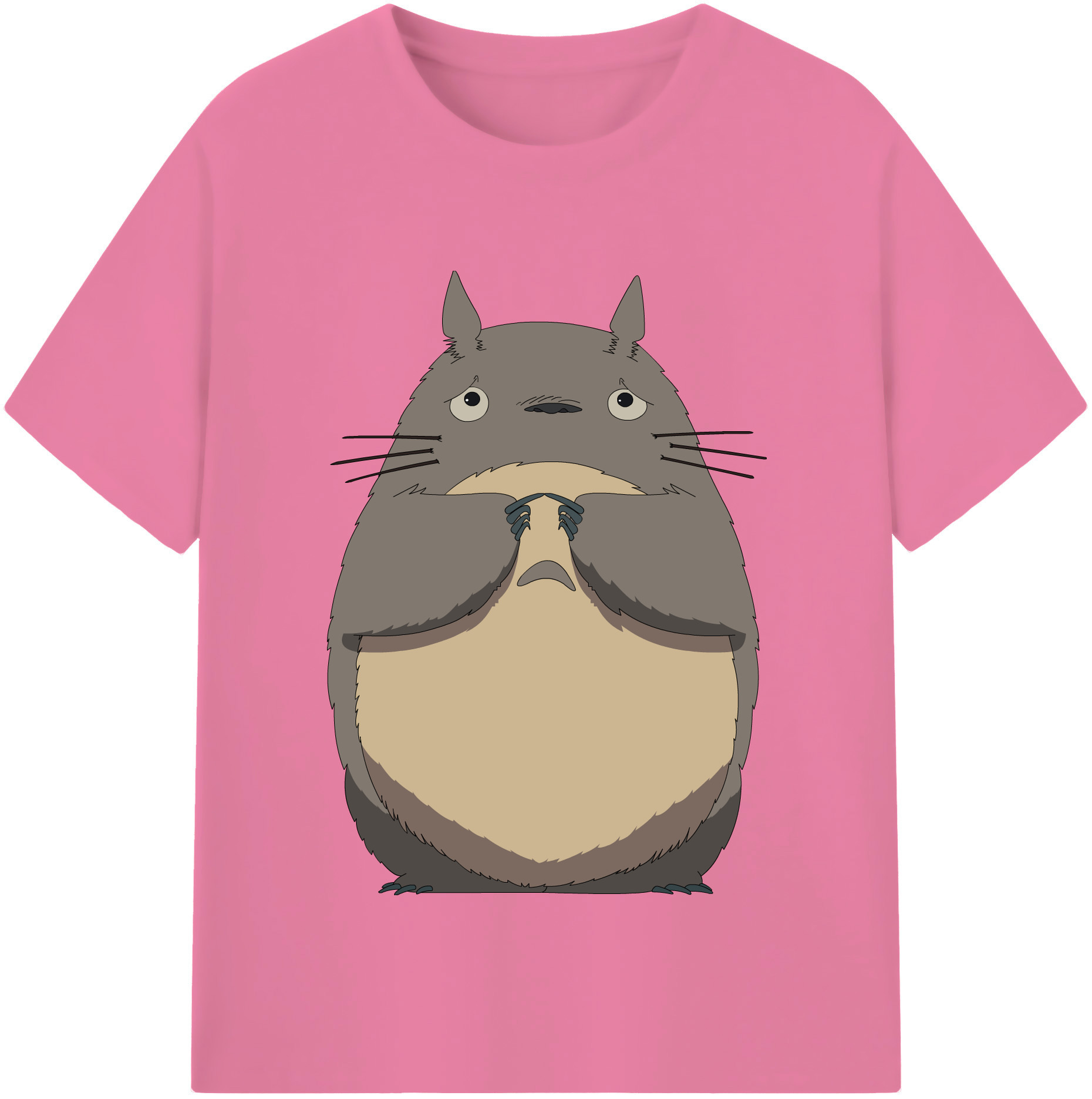 （画像用） となりのトトロ 草壁メイ 草壁サツキ My Neighbor Totoro Satsuki Kusakabe Mei Kusakabe 綿100％半袖Tシャツ（フロントプリント）